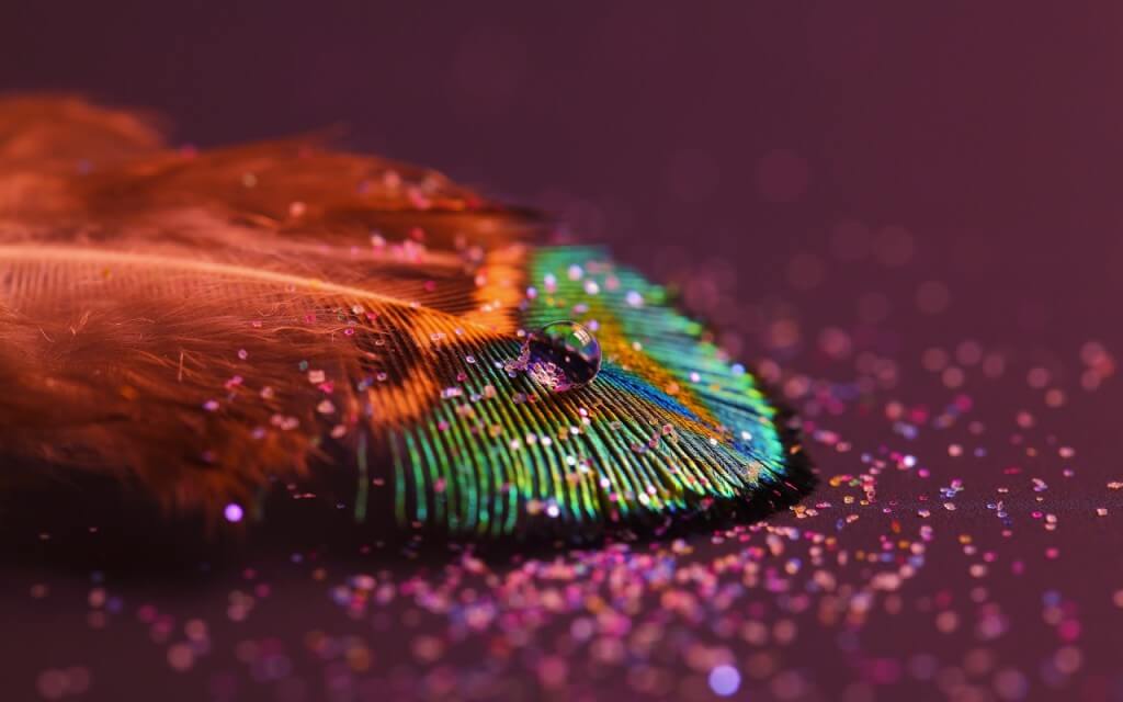 feather_drop-creative-graphic-wallpaper-colourful