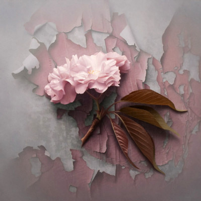 flower-painting besutiful pink flower background 7