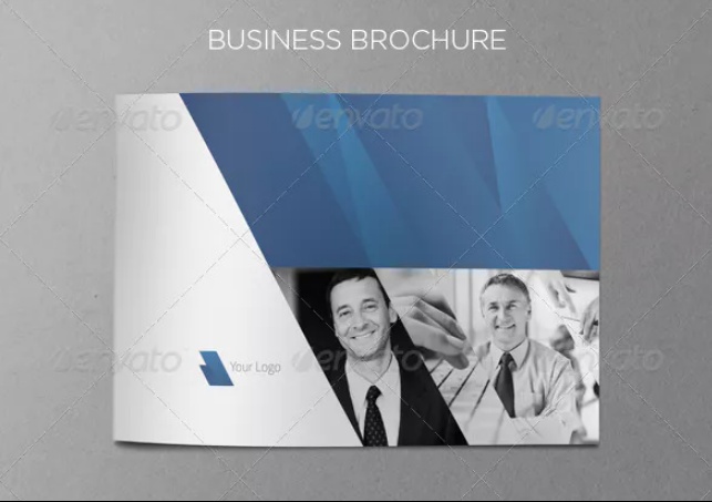Professional Business Brochure Template