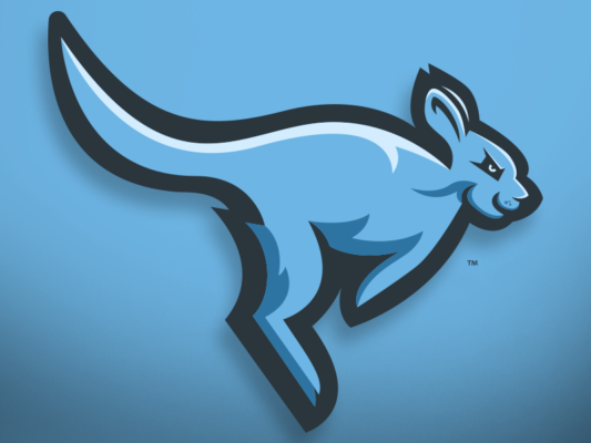 Blue Kangaroo Logo Design