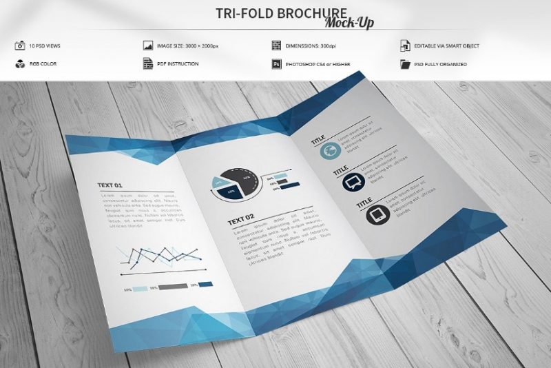 Editable Tri Fold Brochure Mockup