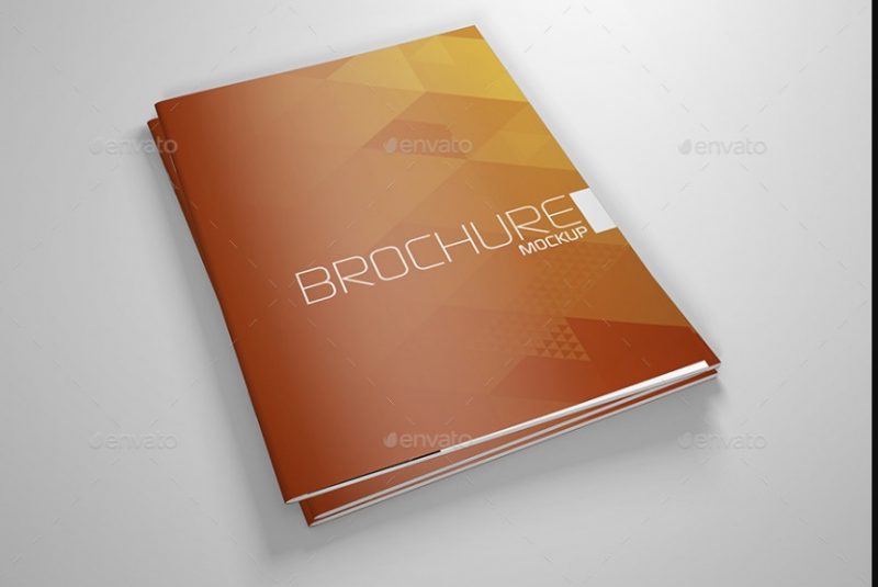 Professional Booklet Mockup PSD