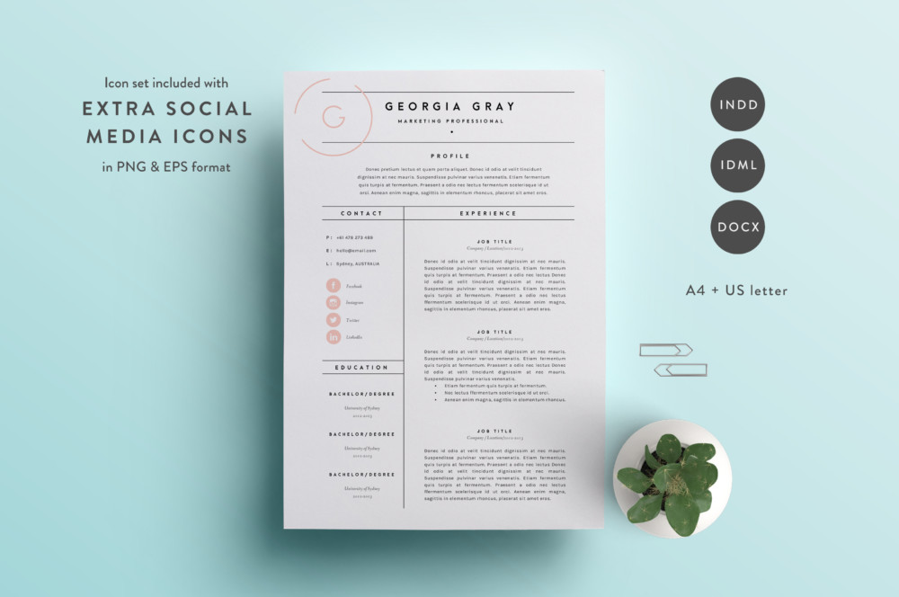 3 Page Resume Template