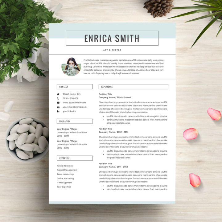 A4 Professional Resume Template
