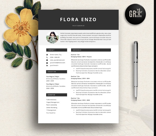 Customiable IT Resume Template