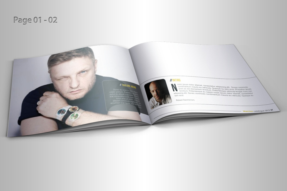 InDesign Product Brochure Template