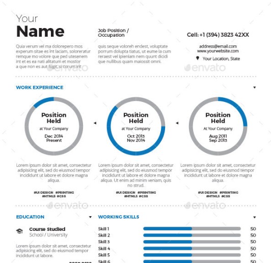 Infographic Resume Word Template