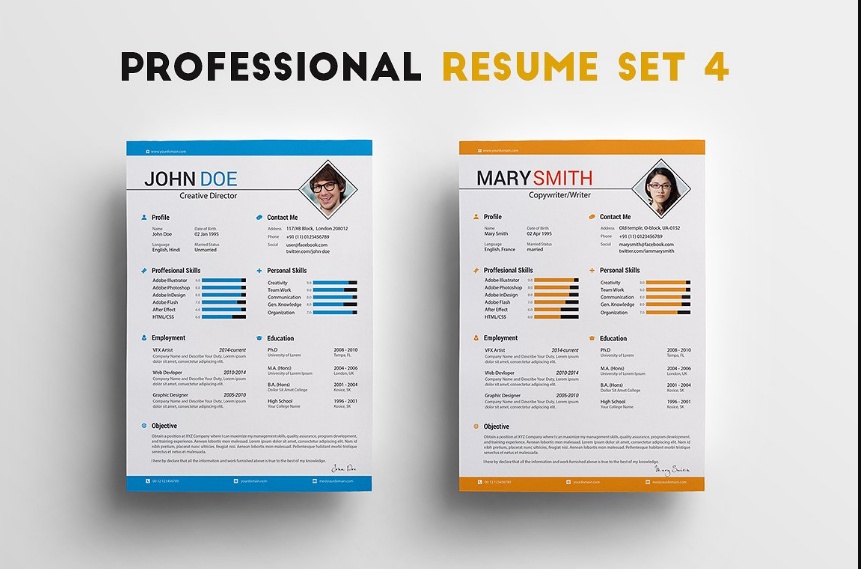 One Page Executive Resume Template