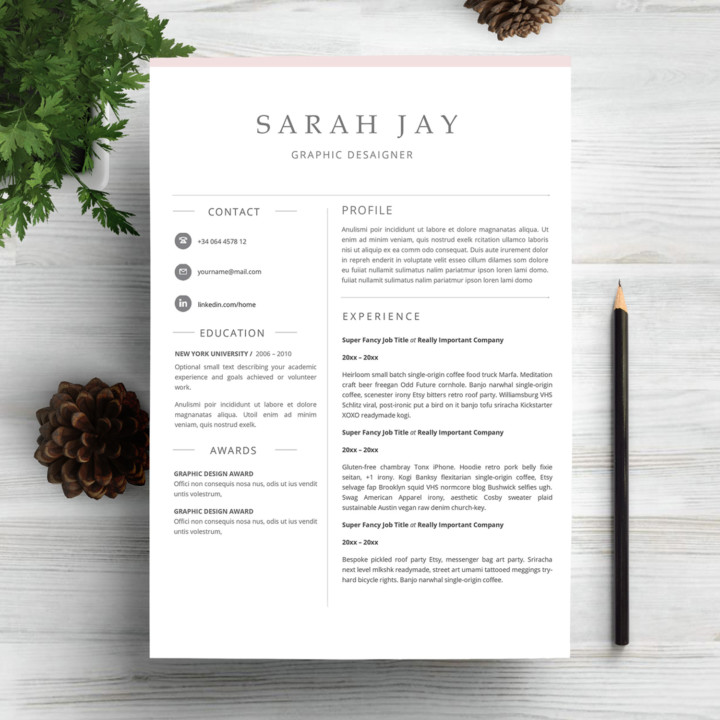 Professional One Page Resume Template