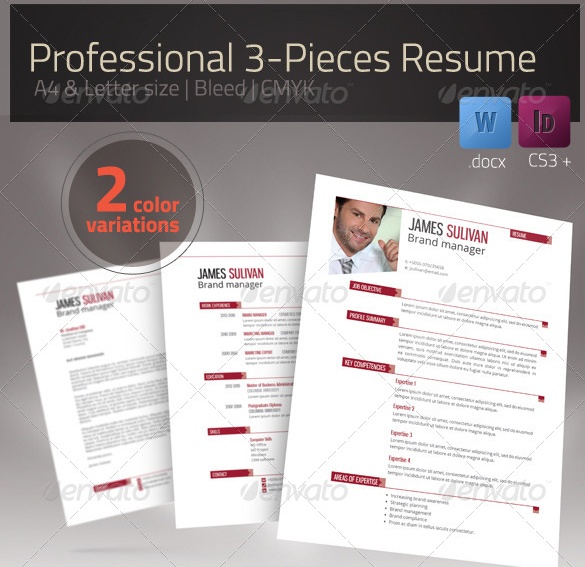 Professional Resume Template PSD