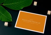 Free Simple Postcard Mockup