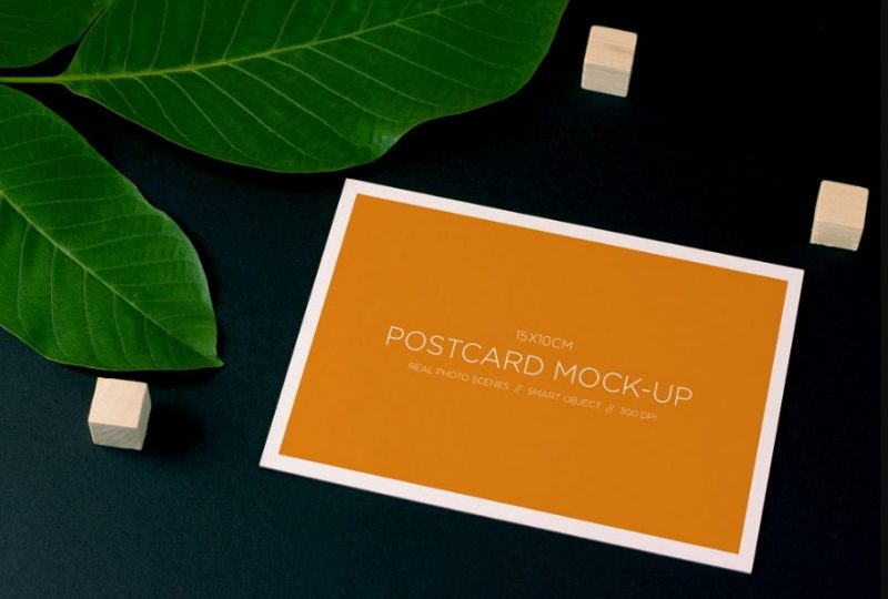 Free Simple Postcard Mockup