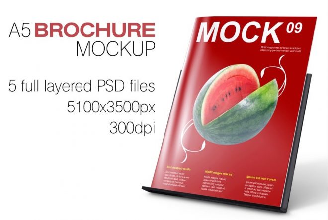 Download 15+ Free A5 Brochure Mockup PSD Download - Graphic Cloud