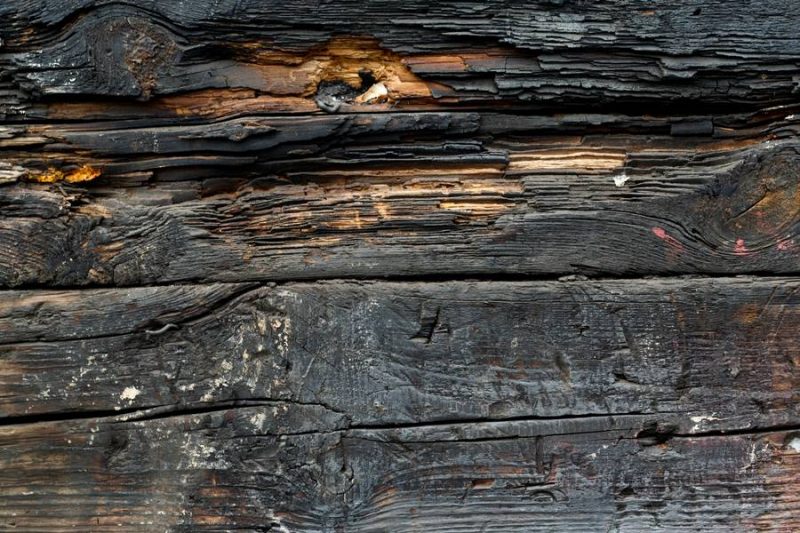 Burnt Wood Texture