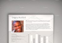 CEO CV Resume Template