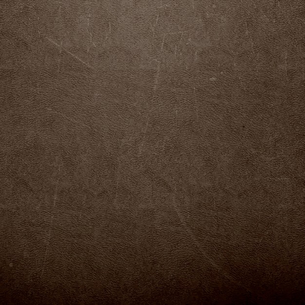 Grunge Brown Leather Texture 