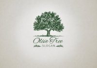 Olive Tree Logo Design