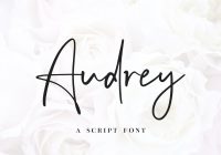 Handwritten-Invitation-Fancy-Font