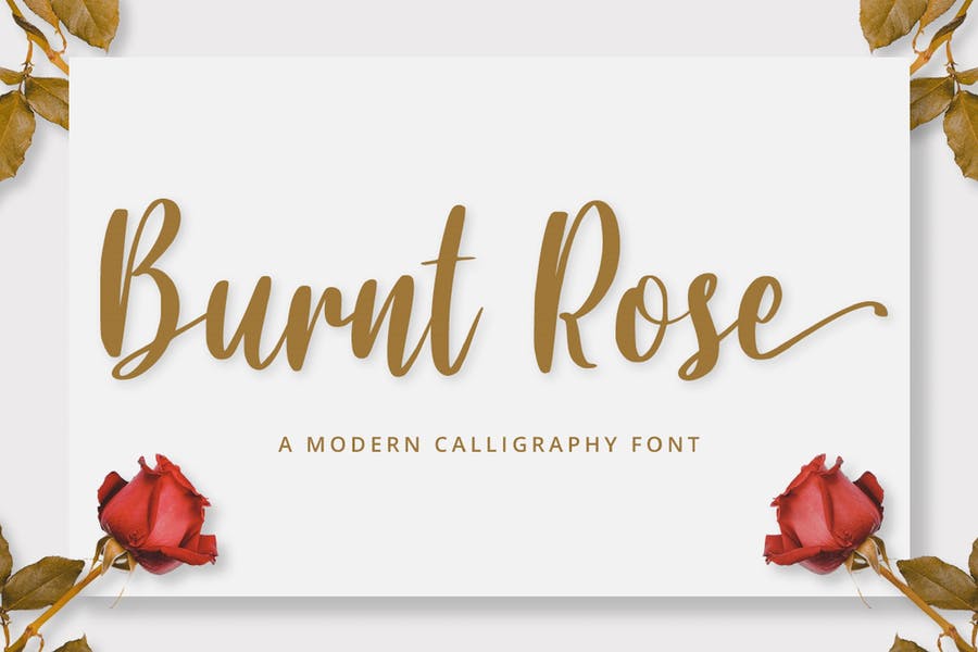Modern Calligraphy Fonts