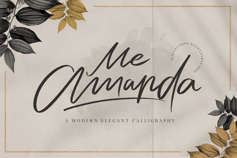 Modern and Elegant Calligraphy Fonts