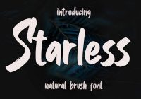 brush fonts