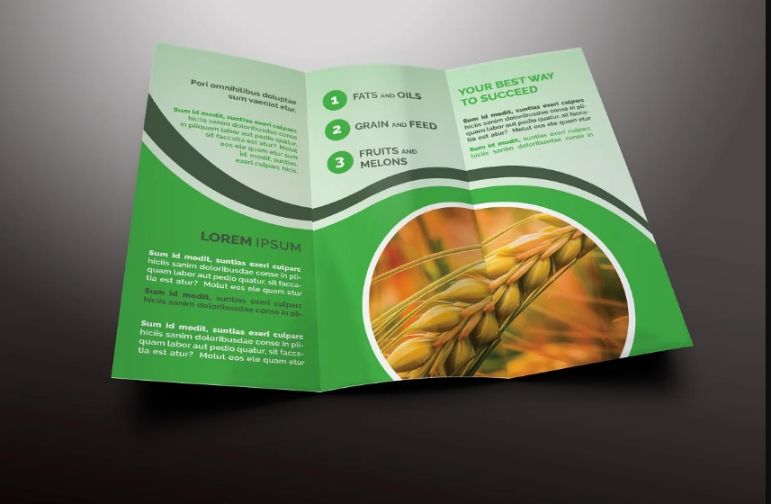 A4 Tri Fold Agriculture Brochures