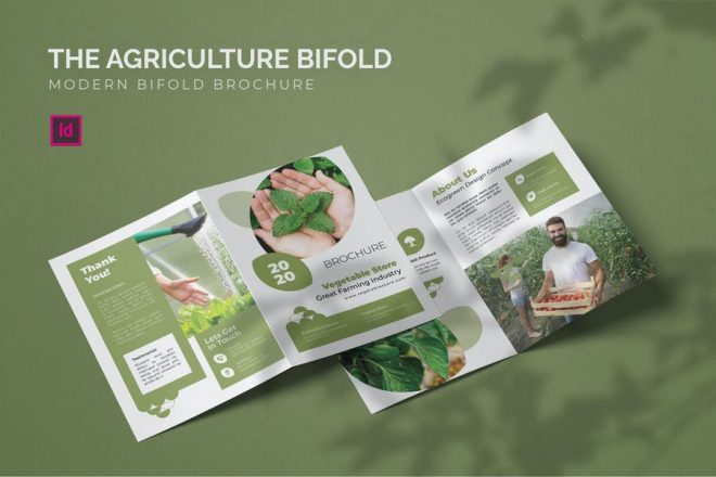 Agricultural Brochure Template