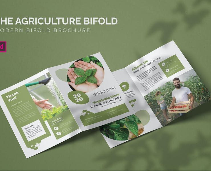 15+ Free Agriculture Brochure Template Design Download