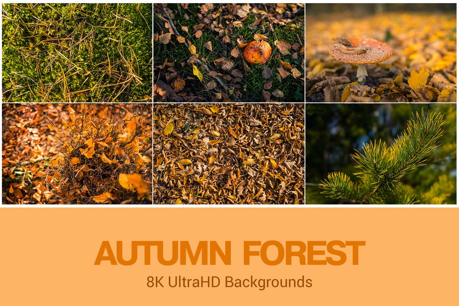 8 Autumn Themed Backgrounds