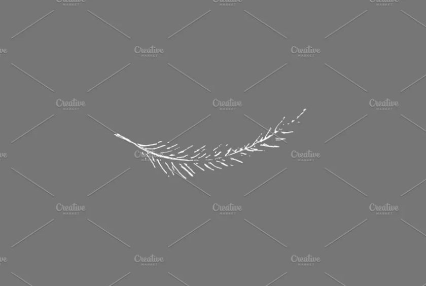 Creative Bird Feather Logo