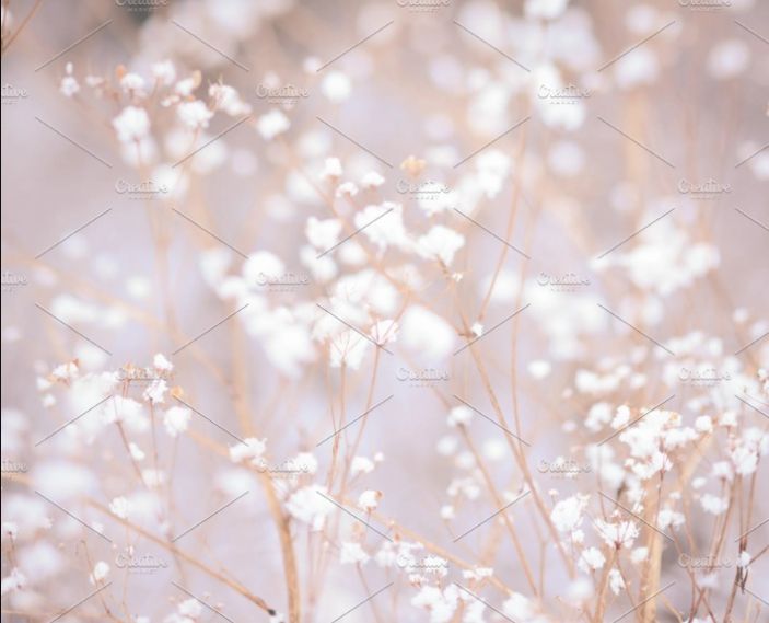 Outdoor Winter Plant Background