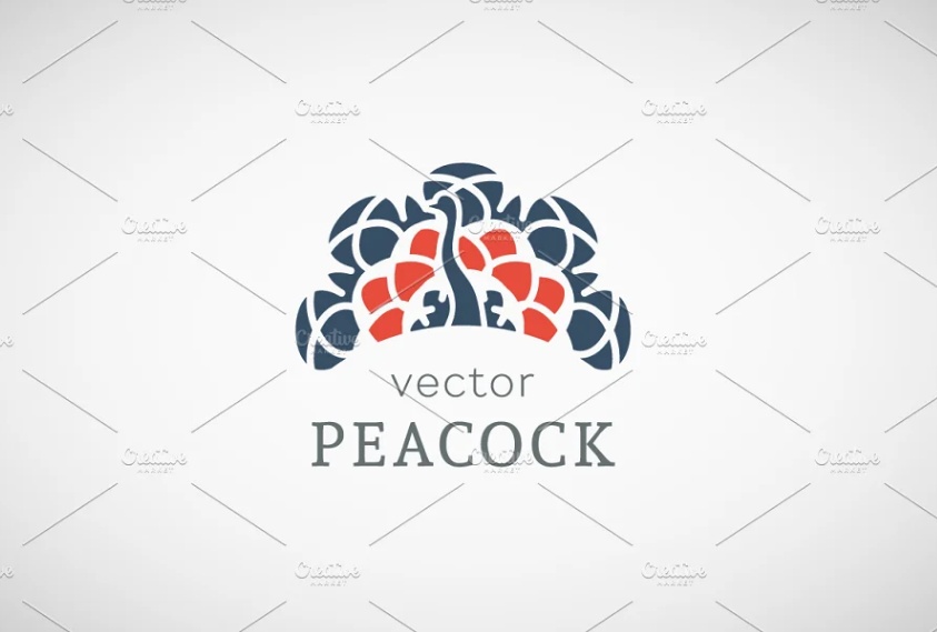 Peacock Tail Vector Design