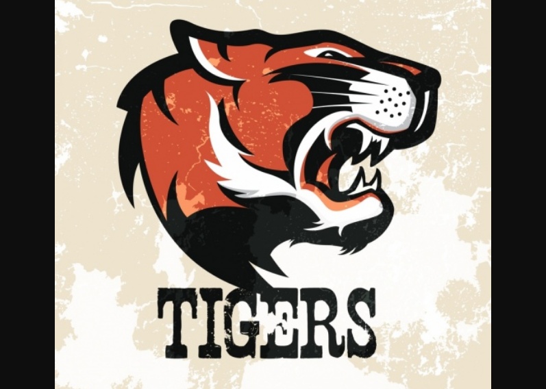 Tiger Head Vector Logo