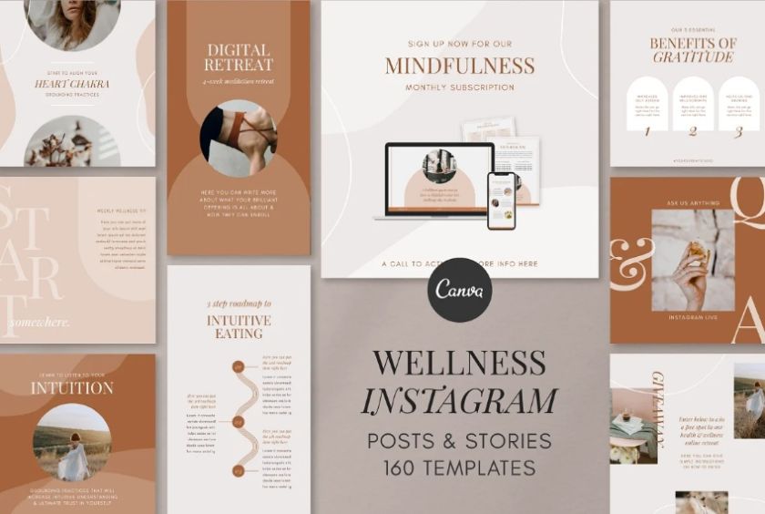 Wellness Coach Instagram Kit