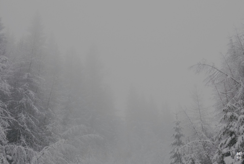 White Snowy Background