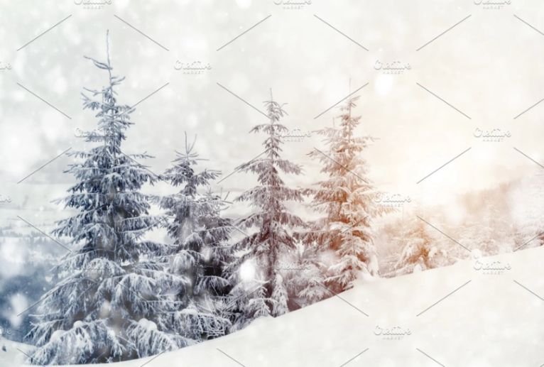 Winter Landscape Background