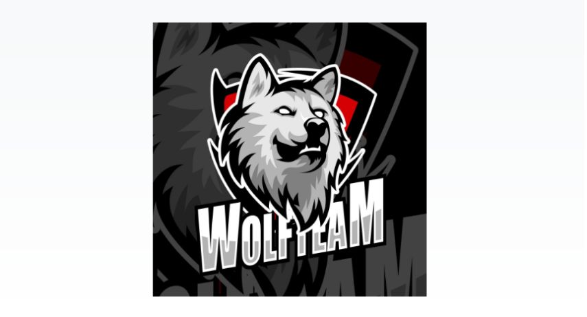 Wolfteaam Branding Designs