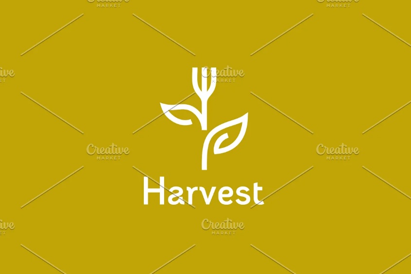 Creative Harvest Identity Design
