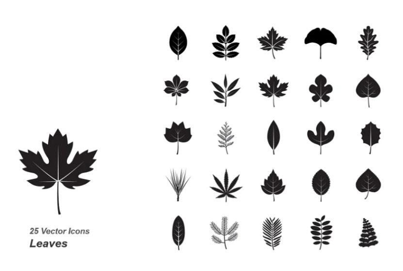 Creative Leaves Vector Icons