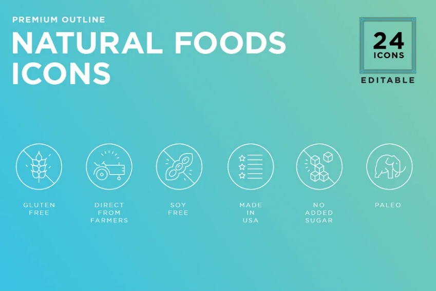 Natural Food Icons Set