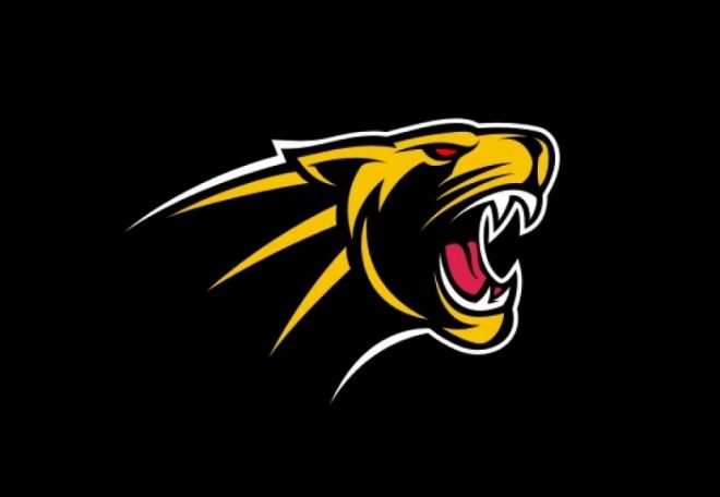 Carolina Panthers logo by Alex Covella for Cub Studio on Dribbble