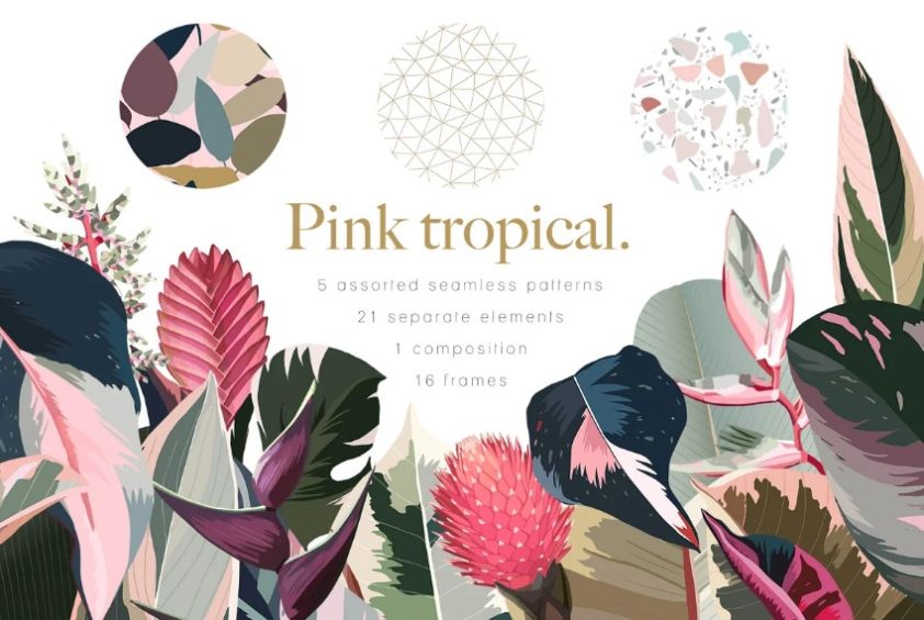 6 Pink Tropical Patterns and Frames