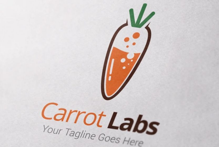 Carrot Labs Identity Designs