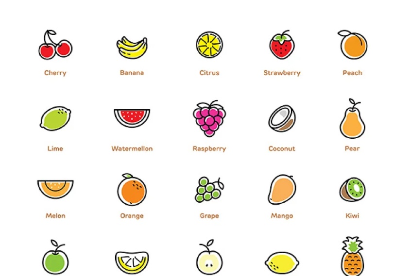 Colored Fruit Vector Illustration
