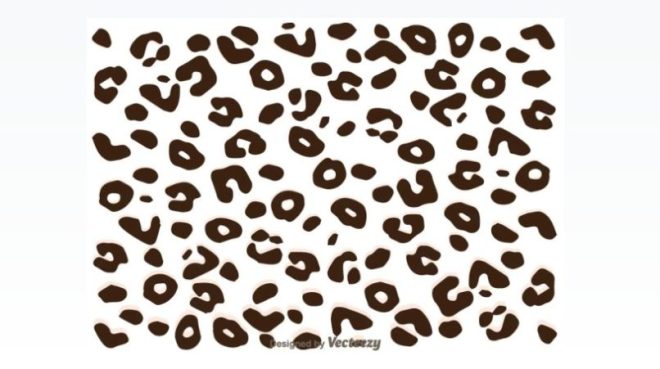 15+ FREE Leopard Print Patterns Vector Design Download - Graphic Cloud