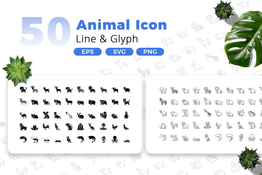 Line and Gyph Vector Designs