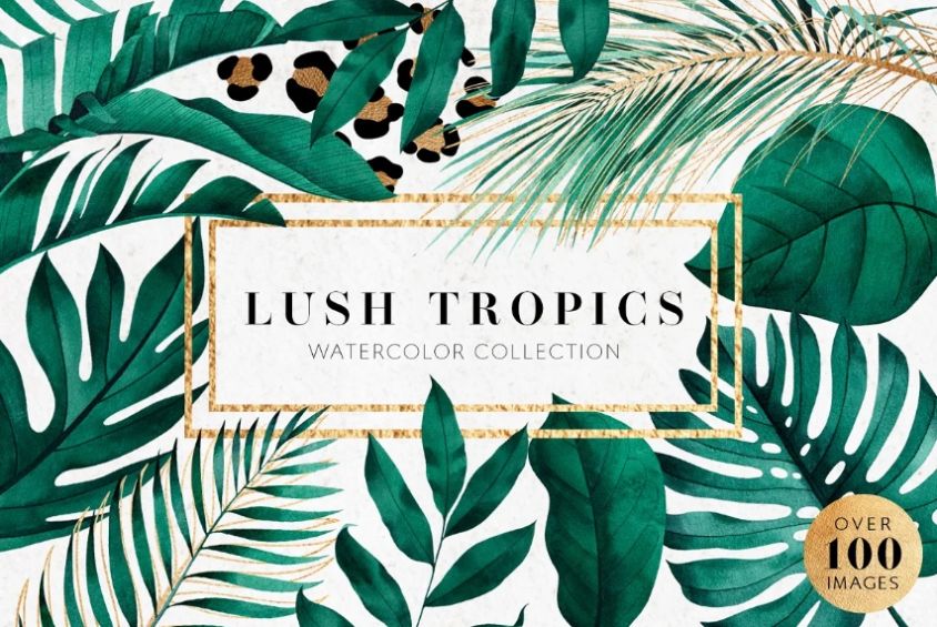 Lush Tropical Pattern Collection