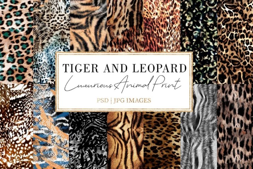 Luxurious Animal Print Patterns