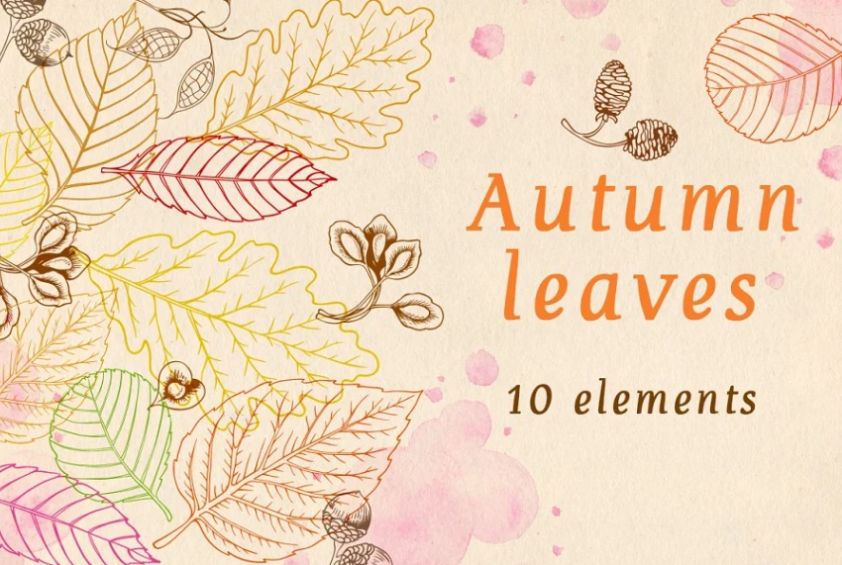 10 Autumn Leaves Pattern Set