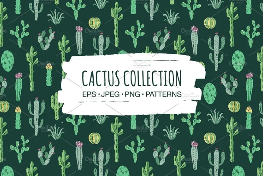 Watercolor Green Cactus Patterns